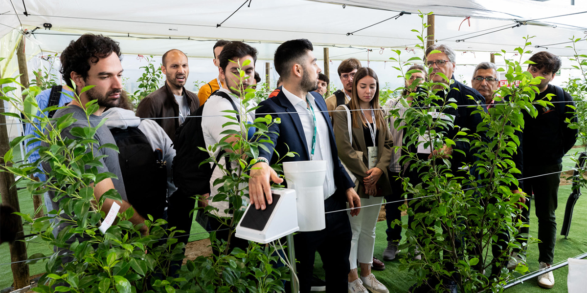 A Macfrut 2025 l’innovazione scende in campo